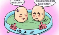 广州供精哪家医院可以做，广州冻卵大概费用是多少？广州有可以做冻卵医院吗？